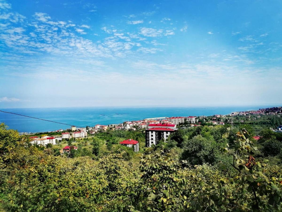 Royal Villa Trabzon Ngoại thất bức ảnh