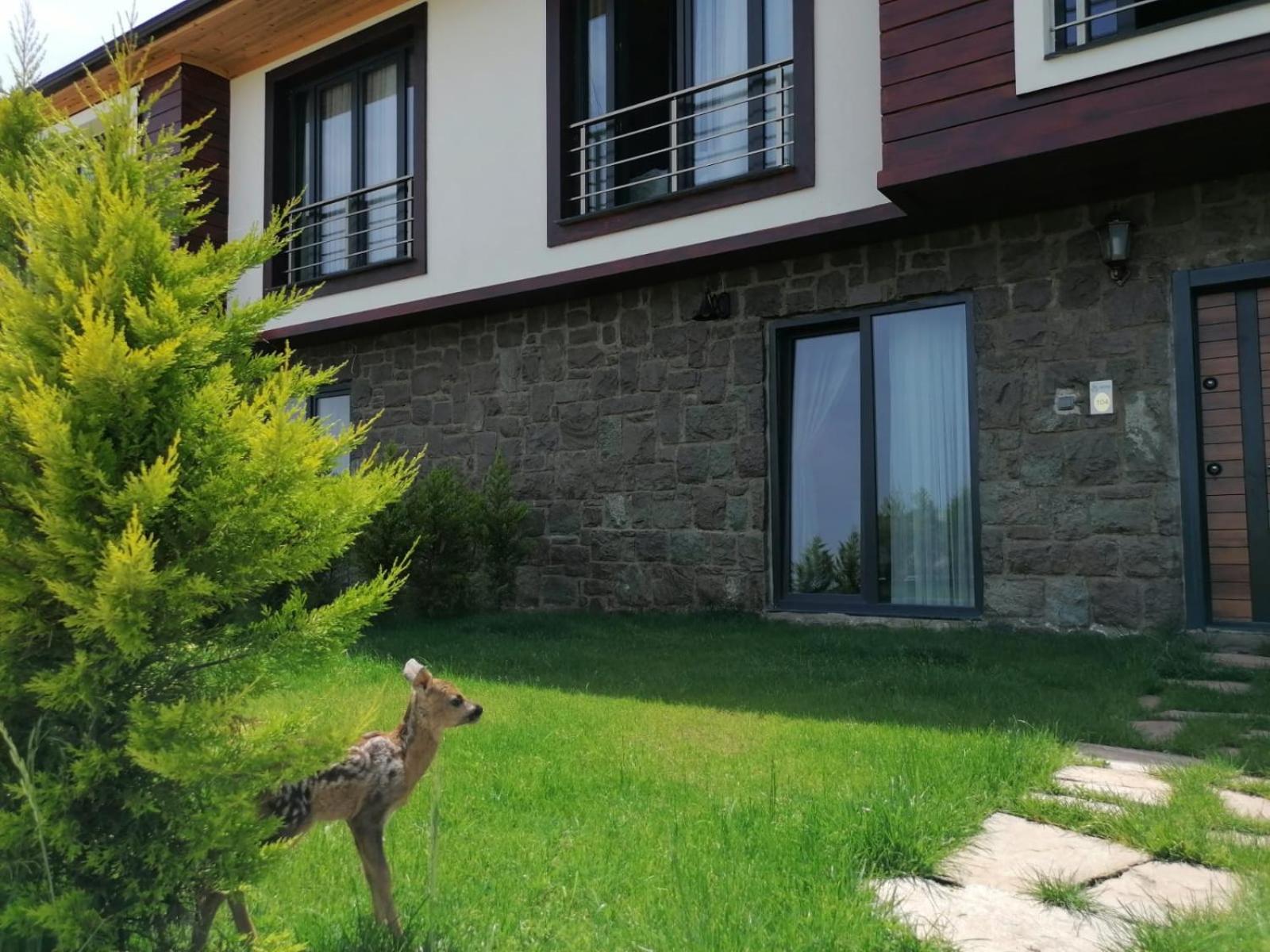 Royal Villa Trabzon Ngoại thất bức ảnh